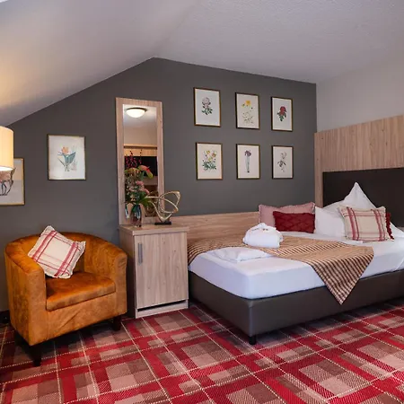 Hotel Ringhotel Sonneck 4*