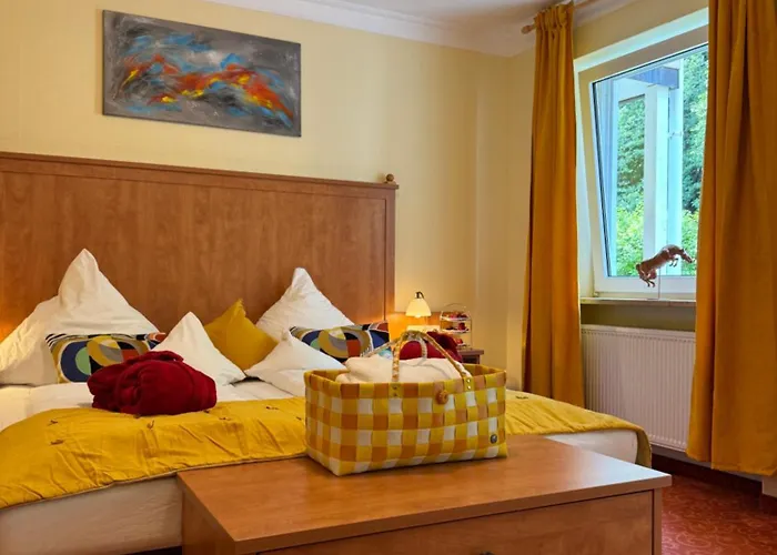 Ringhotel Sonneck فندق